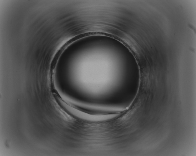 X0000097781076200803071344