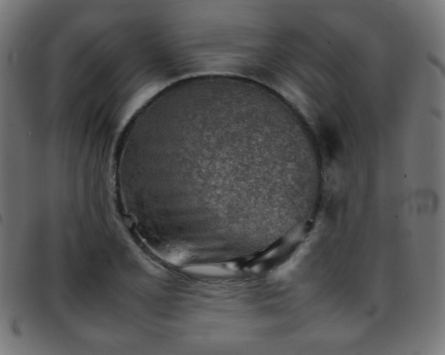 X0000097781077200803071344