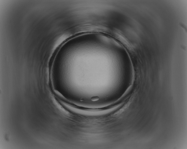 X0000097781079200803071344