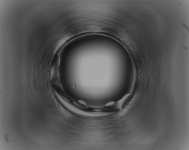 X0000097781081200803071344