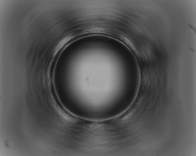 X0000097781082200803071344