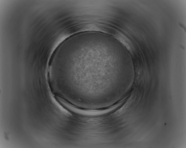 X0000097781084200803071344