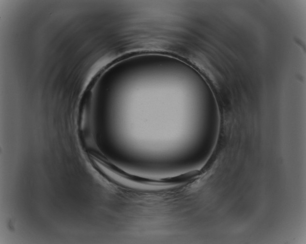 X0000097781085200803071344