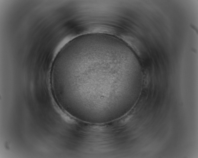 X0000097781086200803071344
