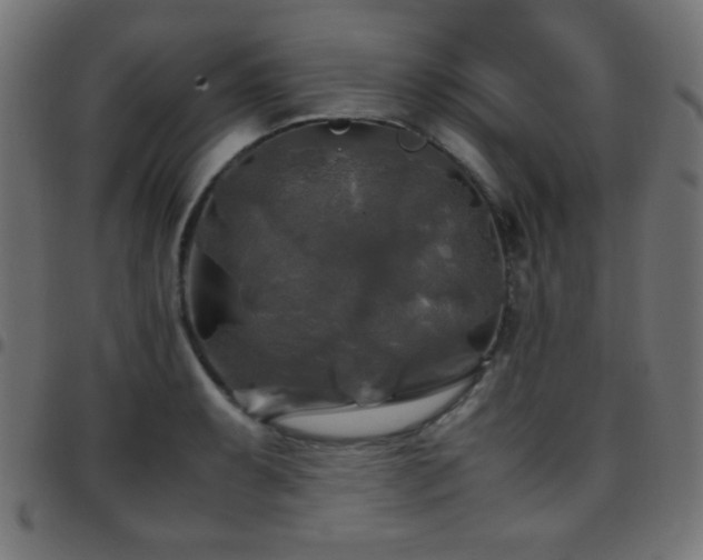 X0000097781087200803071344