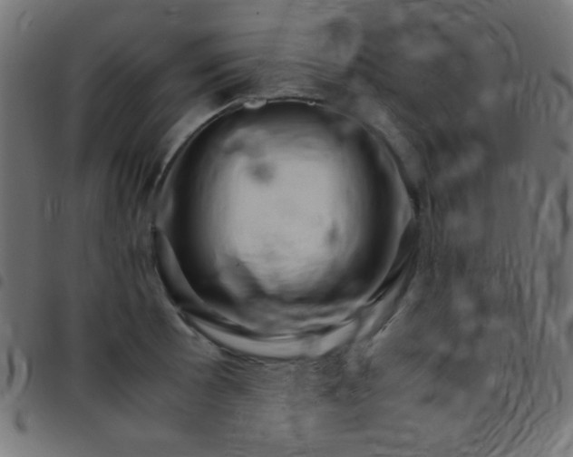 X0000097781089200803071344