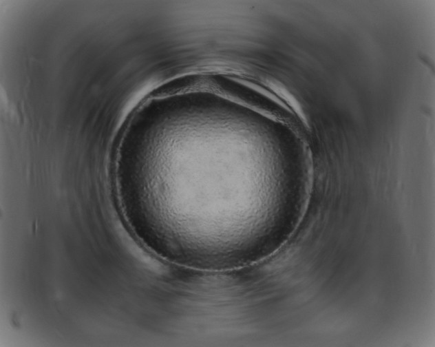 X0000097781091200803071344