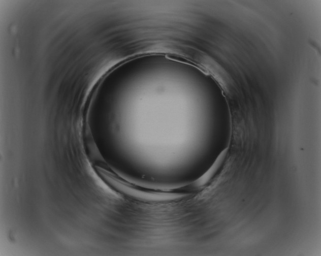 X0000097781092200803071344