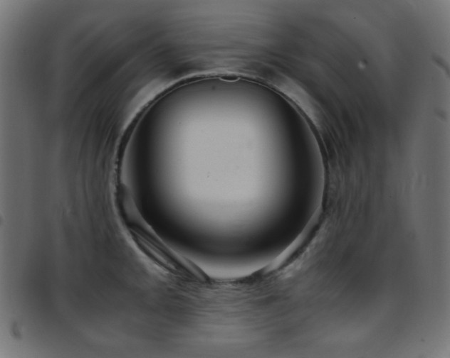 X0000097781093200803071344