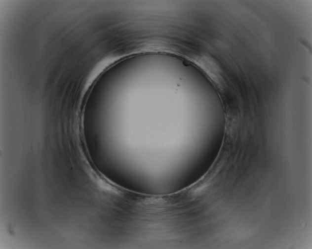 X0000097781094200803071344