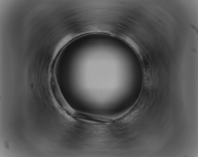 X0000097781096200803071344