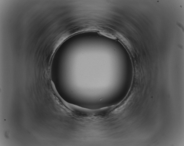 X0000097781097200803071344