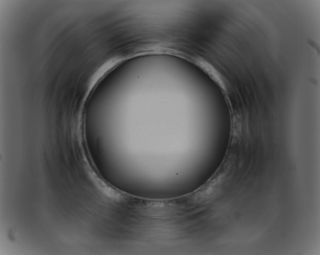 X0000097781098200803071344