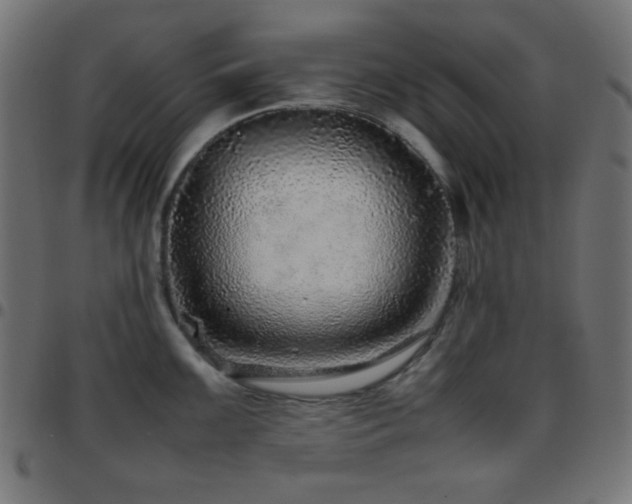 X0000097781099200803071344