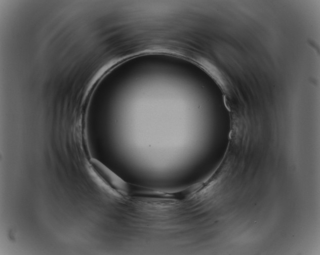 X0000097781100200803071344