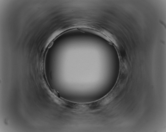 X0000097781101200803071344