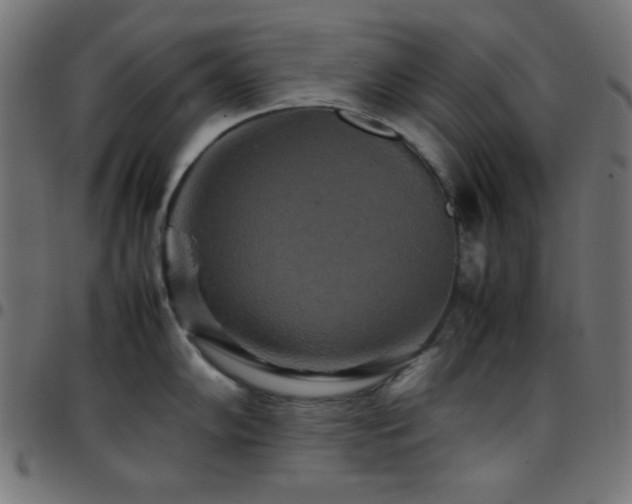 X0000097781102200803071344