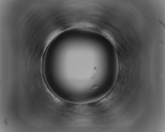 X0000097781103200803071344