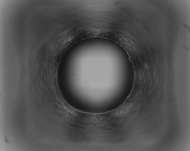 X0000097781105200803071343
