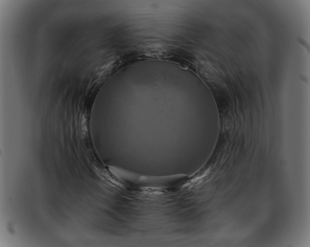 X0000097781106200803071343