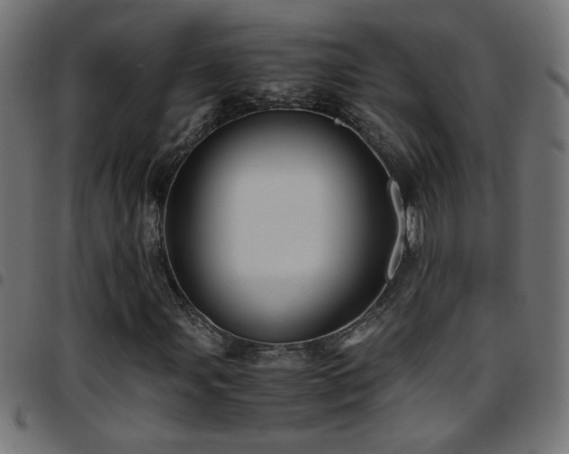 X0000097781107200803071343