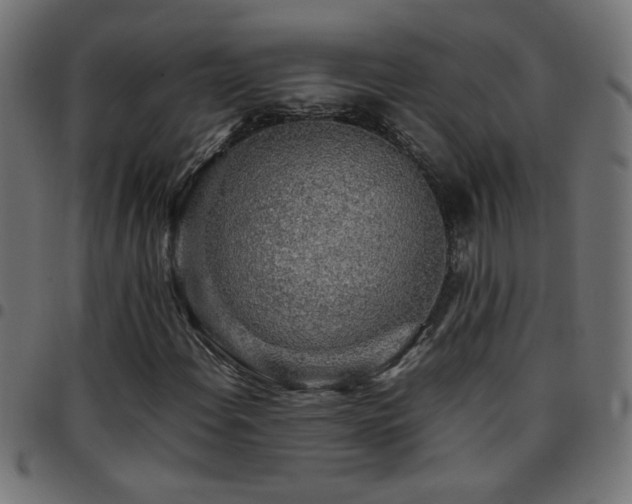 X0000097781108200803071343