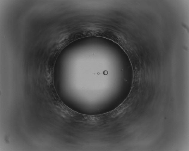 X0000097781109200803071343