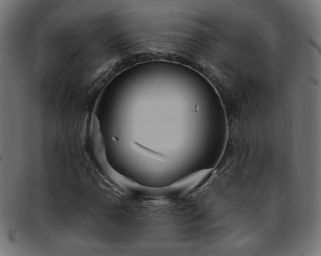 X0000097781110200803071343