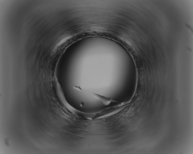 X0000097781112200803071343