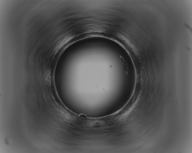 X0000097781113200803071343