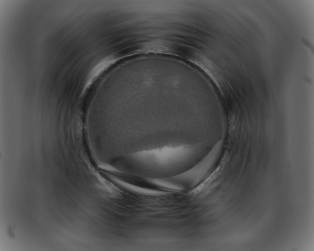 X0000097781115200803071343