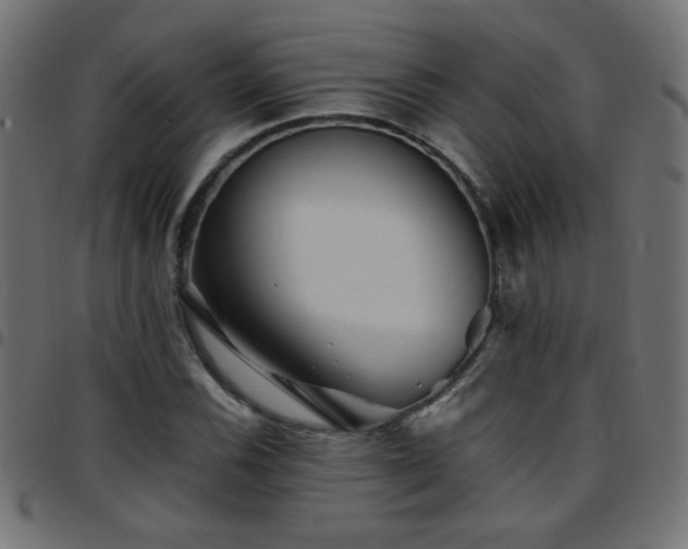 X0000097781116200803071343