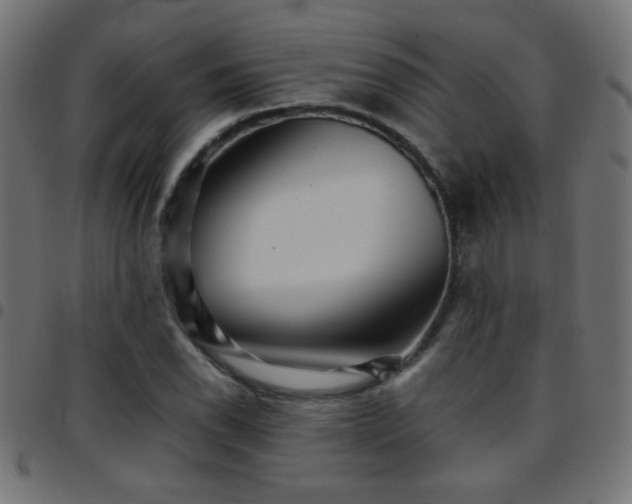 X0000097781118200803071343