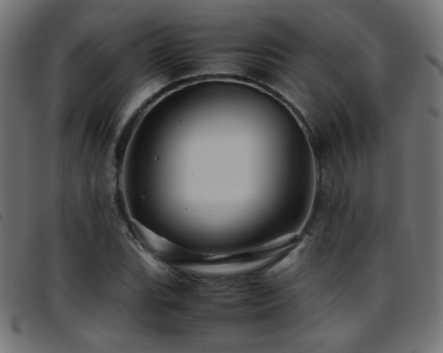 X0000097781119200803071343