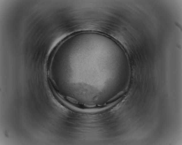 X0000097781120200803071343