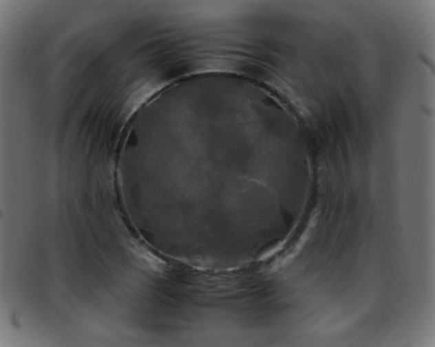 X0000097781121200803071343