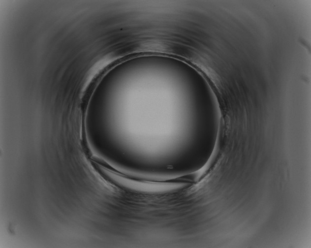 X0000097781123200803071343