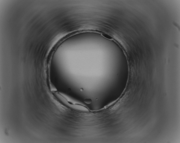 X0000097781124200803071343
