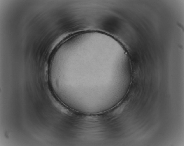 X0000097781126200803071343