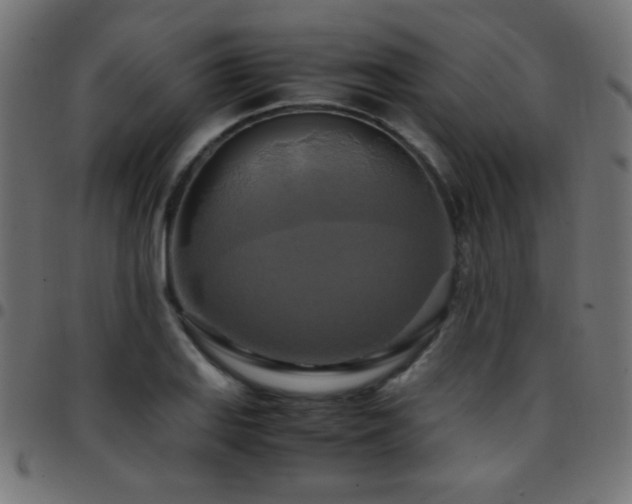 X0000097781127200803071343