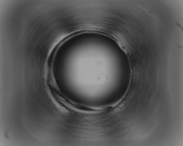 X0000097781128200803071343