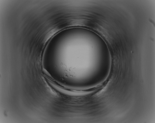 X0000097781129200803071343