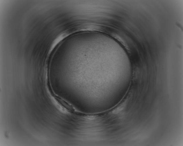 X0000097781130200803071343