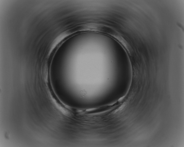 X0000097781131200803071343