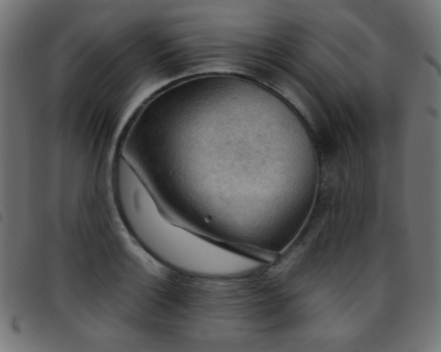 X0000097781132200803071343
