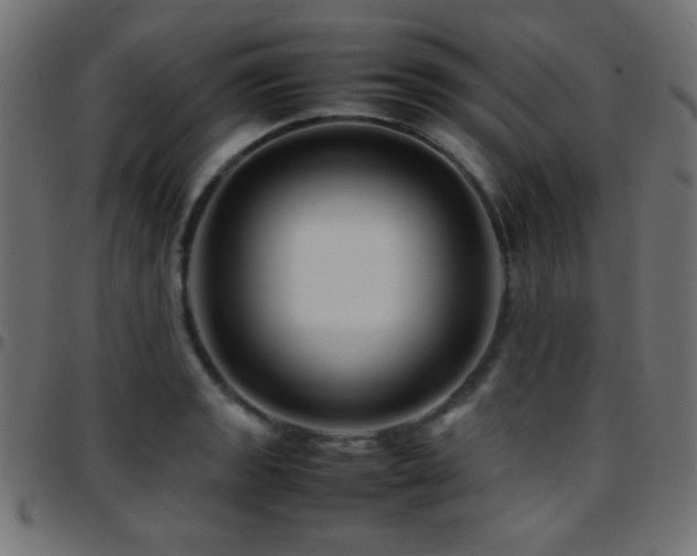 X0000097781133200803071343