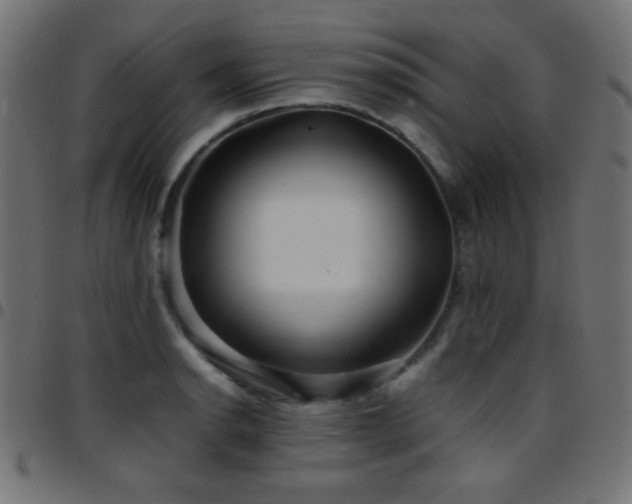 X0000097781134200803071343