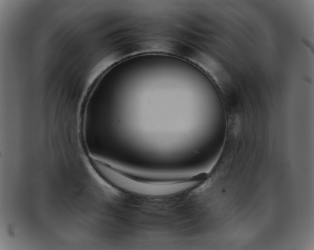 X0000097781135200803071343