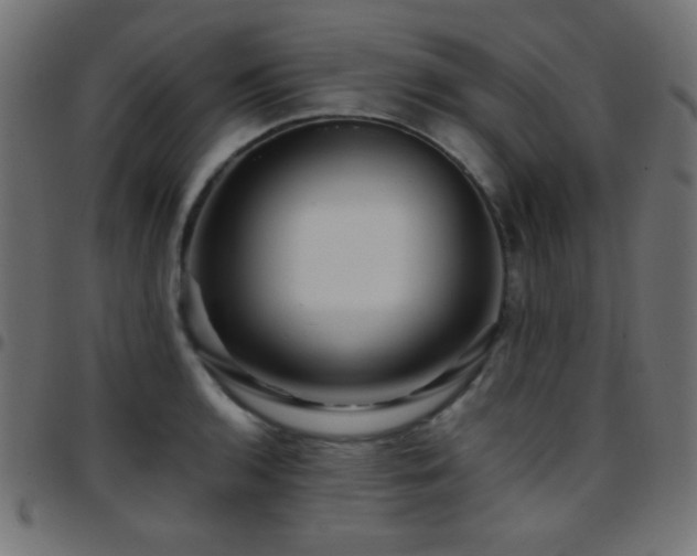 X0000097781136200803071343