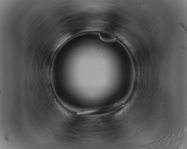 X0000097781137200803071343